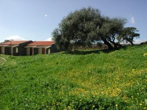 'BIG BARGAIN!!!Sardinia: hotel for sale, panoramic position!' - Photo one